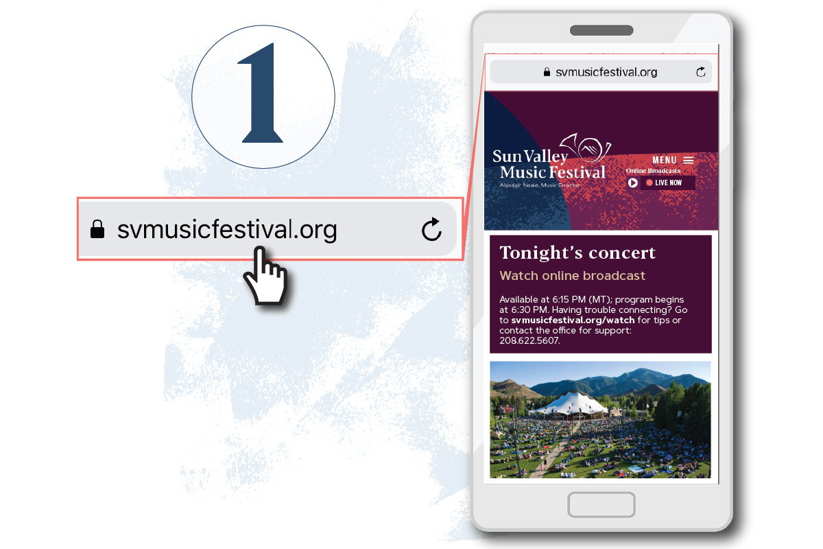 Go to the Festival website: svmusicfestival.org