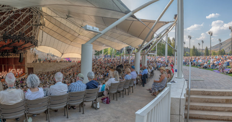 audience at a concert