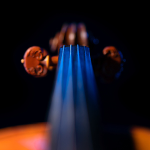 Mástil de violín